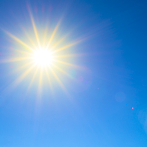 Summer sun