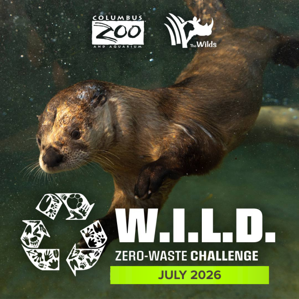 sustainability challenge graphic for the Columbus Zoo and The Wilds