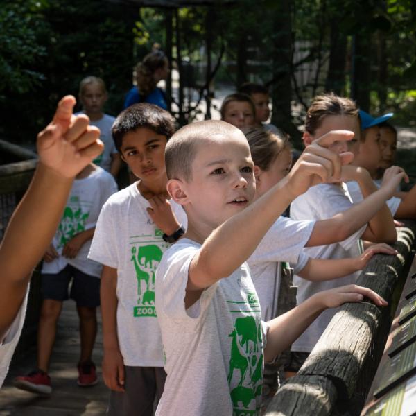 children pointing to something above them