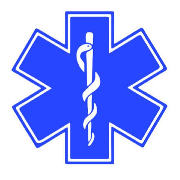 ems logo