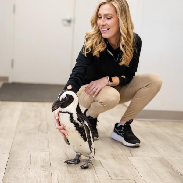 zookeeper and penguin