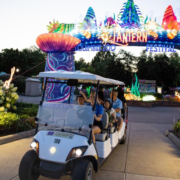 VIP lantern tour, golf cart in foreground of event entrance arch
