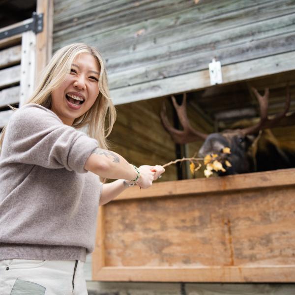 Feeding a Moose Experience