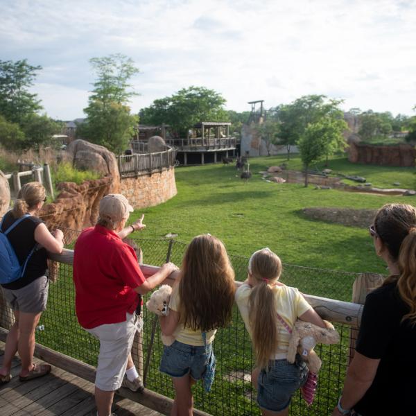 family on Zoo tour