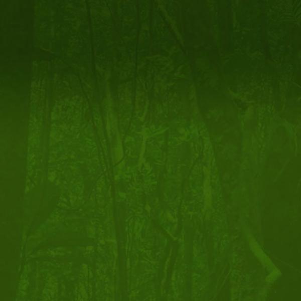 Green tree background
