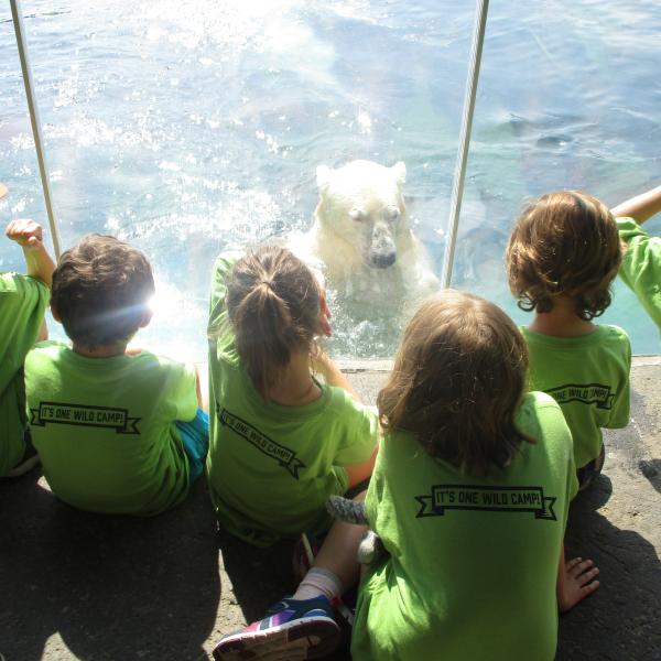 kids looking at polar bear