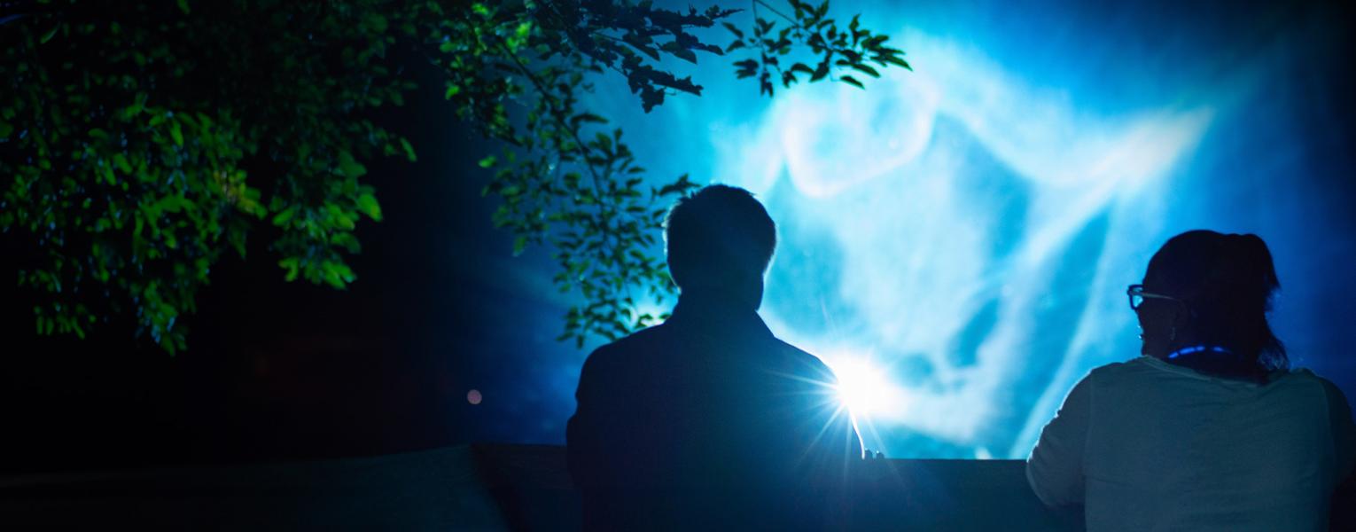 people watching UENXTINCT visual