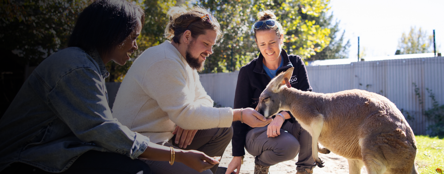 zoo guests and kangaroo
