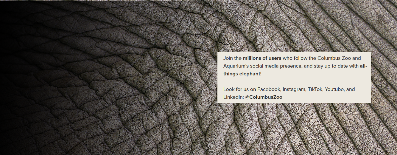 zoo graphic
