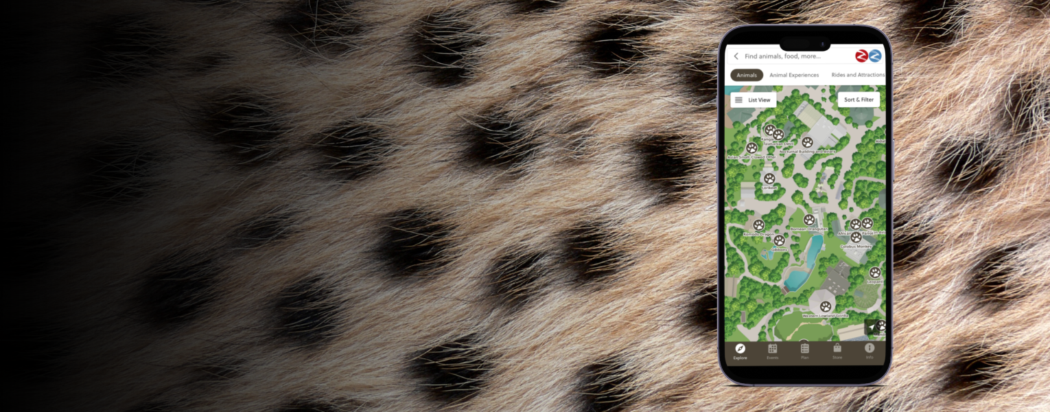 app mockup with cheetah fur in background