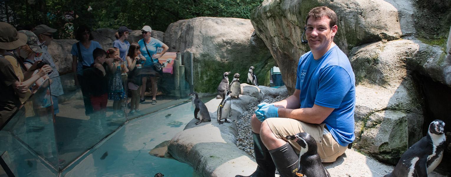 keeper and penguins
