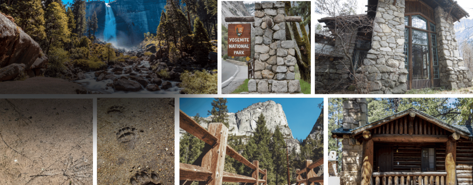 park picture collage