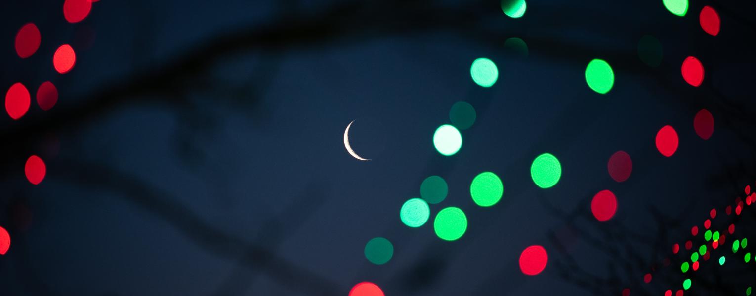 holiday lights in foreground of night sky