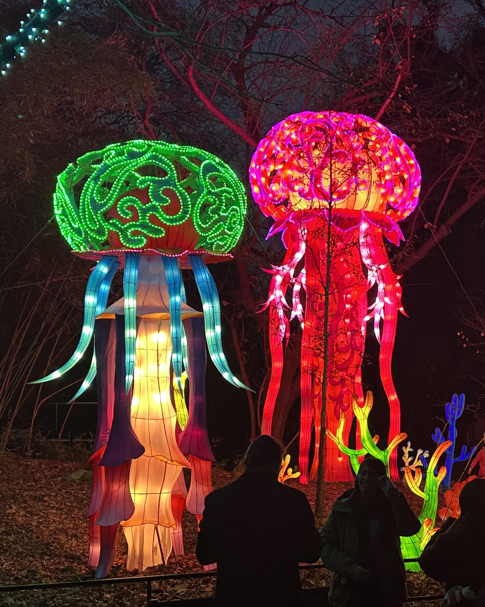 St Louis Zoo Lantern Festival - dz9tepw