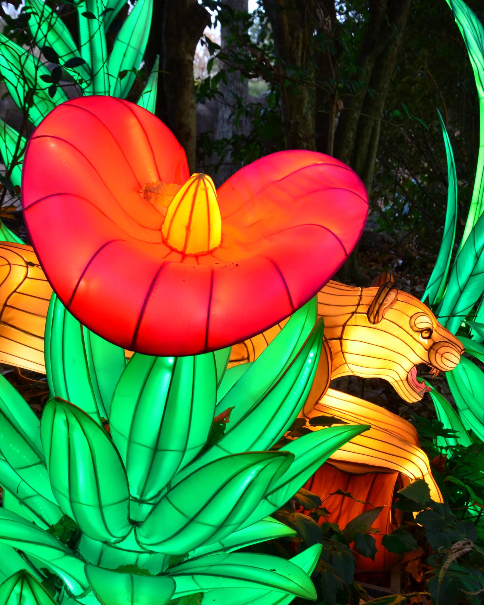 Columbus Zoo | Lantern Festival Columbus Zoo | Lantern Festival