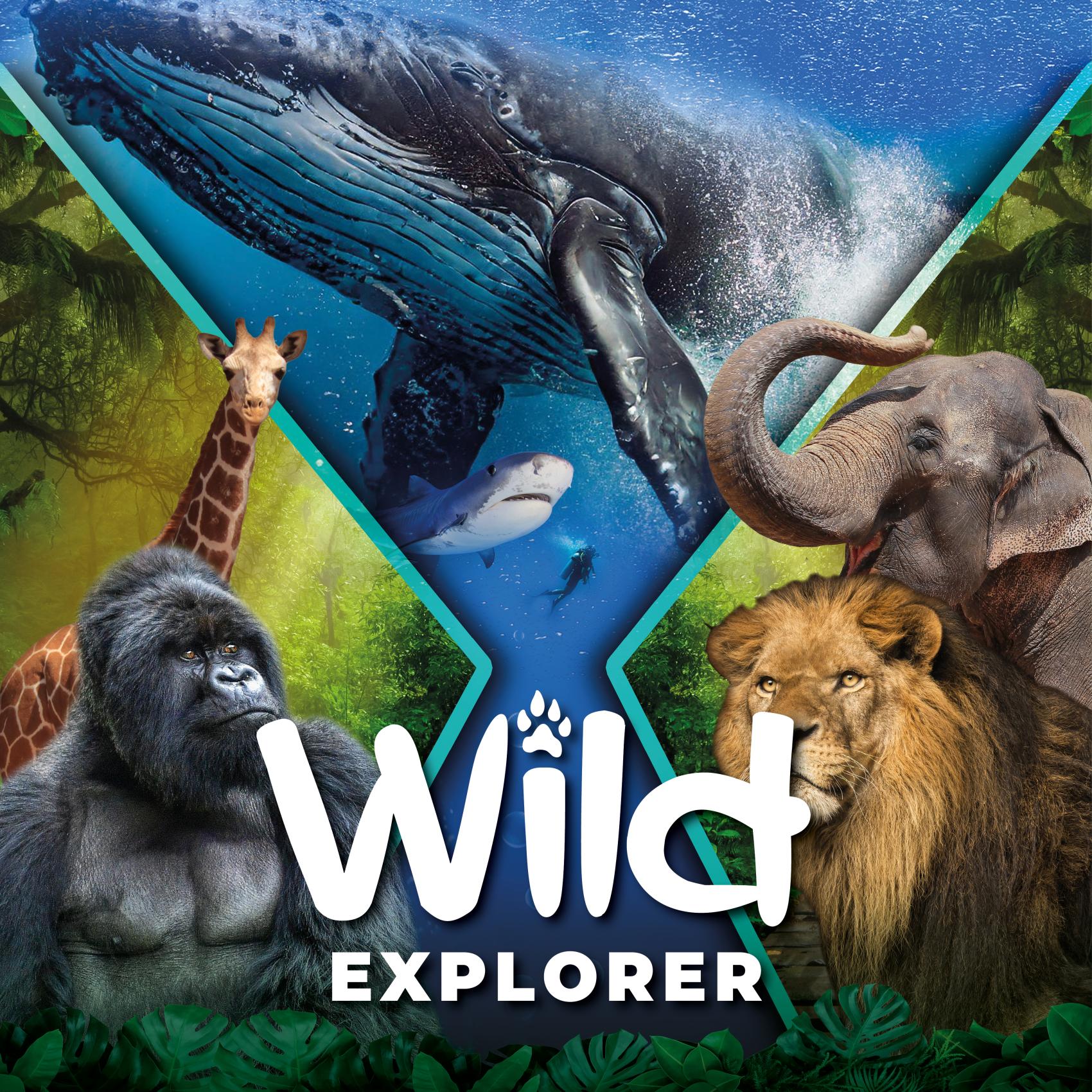 Wild Explorer Virtual Reality Columbus Zoo and Aquarium