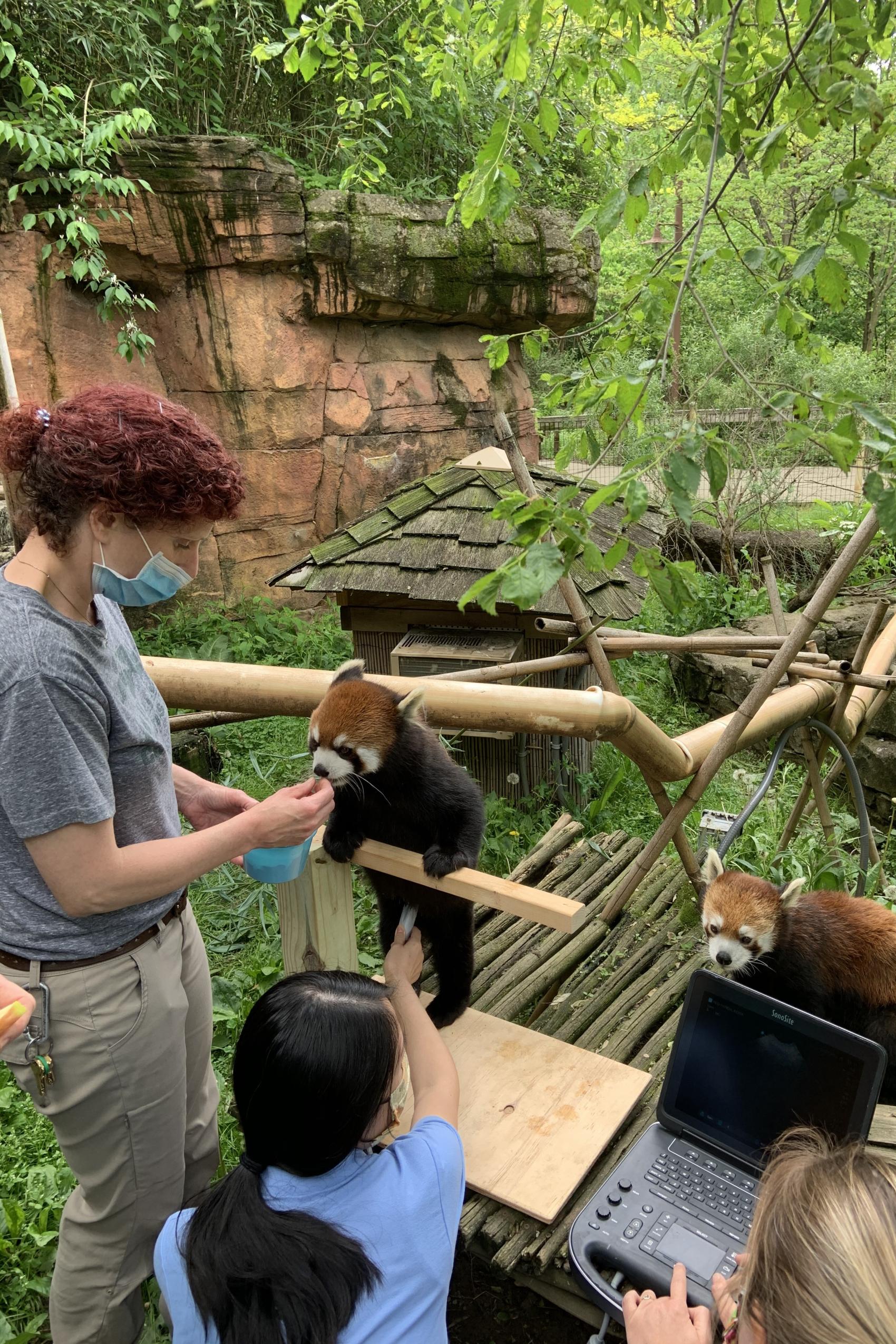 Empowering Paws and Hooves: A Few Innovative Animal Training Methods at ...