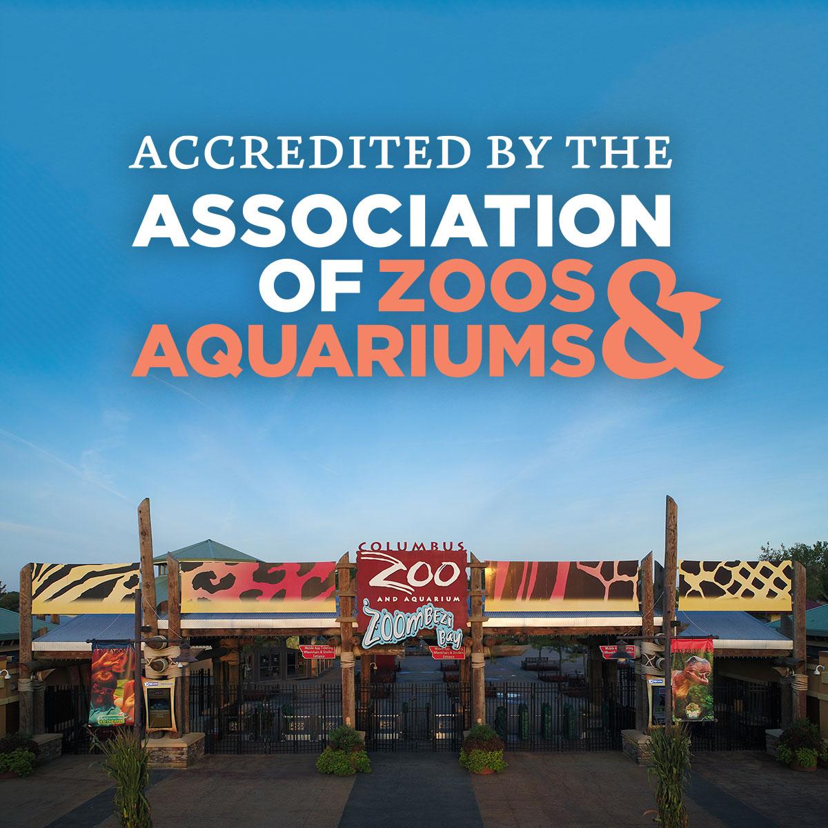 The Columbus Zoo and Aquarium Earns Accreditation From the Association