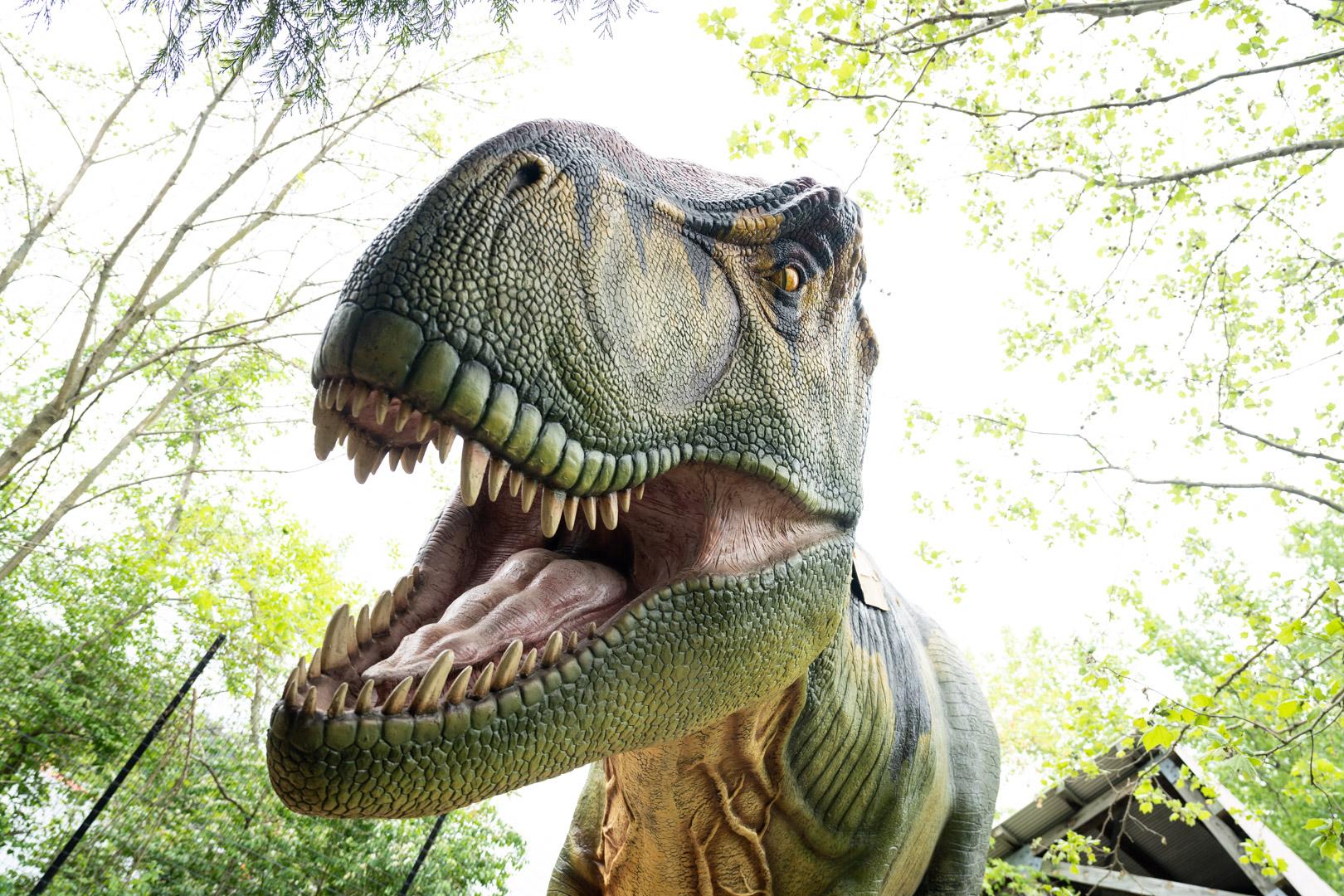 /assets/images/blog/like-a-dino.jpg