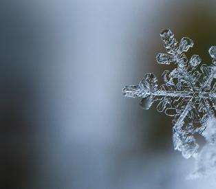 Winter snowflake